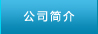 公司简介